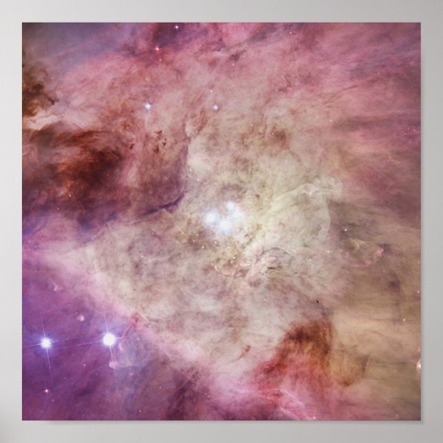 Póster Orion Nebula rosa (Frente)