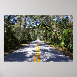 Póster Ormond Beach Loop