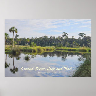 Póster Ormond Scenic Loop Poster