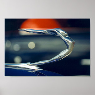 Póster ornament