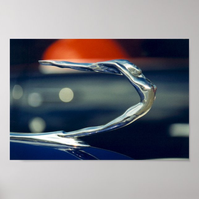 Póster ornament (Frente)