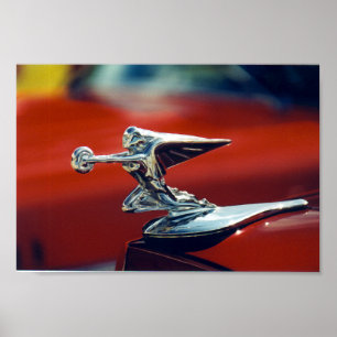Póster Ornament 2
