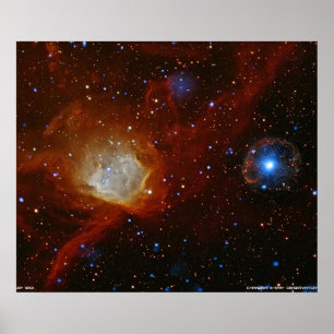 Póster Ornamento cósmico