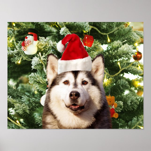 Póster Ornamento de árbol de navidad siberiano Husky Snow (Frente)