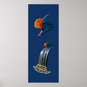 Póster Ornamento de la capucha de época