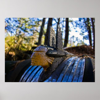 Póster Ornamento de la capucha india pontíaca