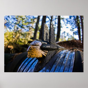 Póster Ornamento de la capucha india pontíaca