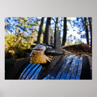 Póster Ornamento de la capucha india pontíaca