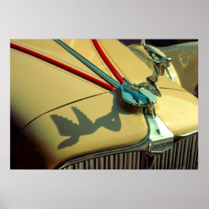 Póster Ornamento del radiador Auburn Speedster