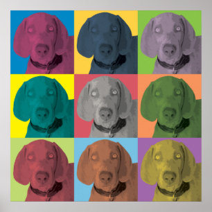 Póster Ornamento pop-art de Weimaraner