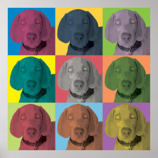 Póster Ornamento pop-art de Weimaraner