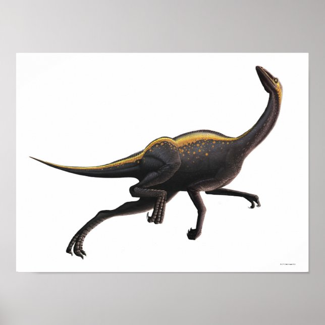 Póster Ornithomimus (Frente)