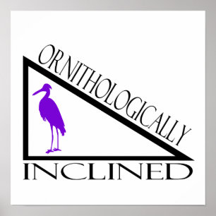 Póster Ornitológico inclinado