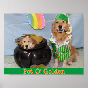 Póster Oro de oro de Leprechaun