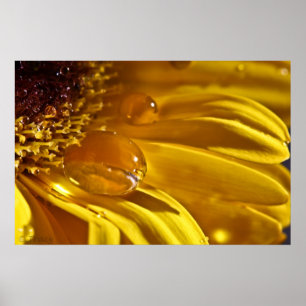 Póster Oro líquido