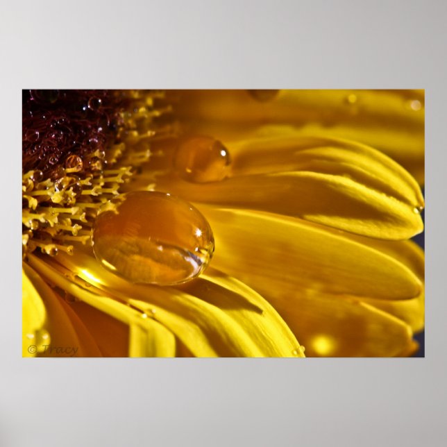 Póster Oro líquido (Frente)