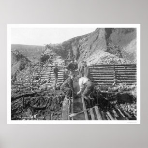 Póster Oro que se lava en Alaska 1916