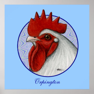 Póster Orpington Head Circle