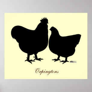 Póster Orpington Silhouette