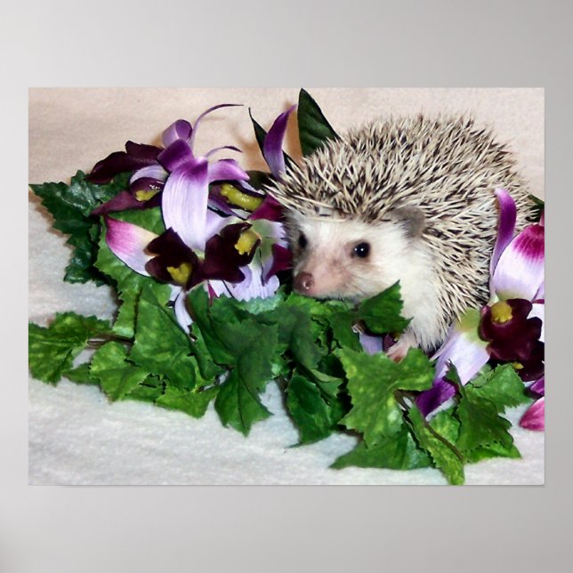 Póster Orquídea (Frente)