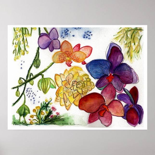 Póster orquídea 40 (Frente)
