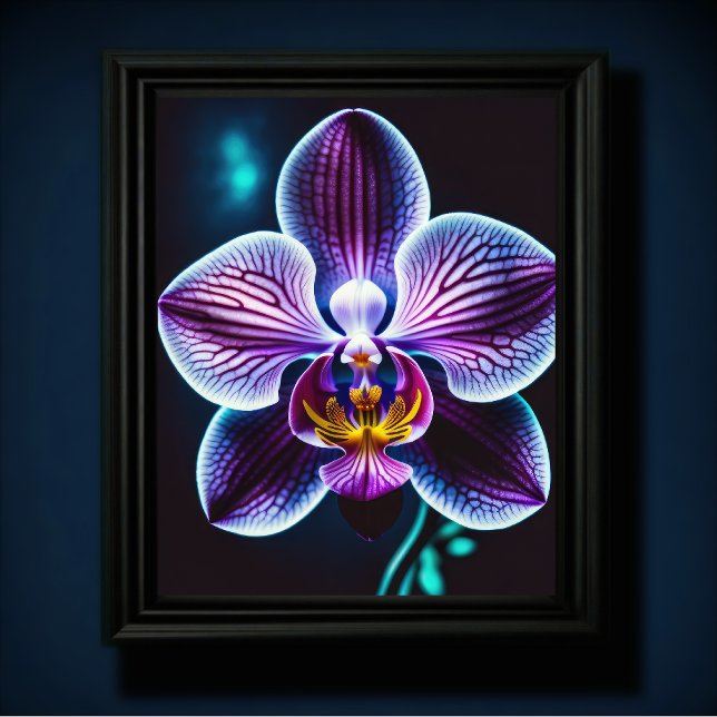 Póster Orquídea Azul (Subido por el creador)
