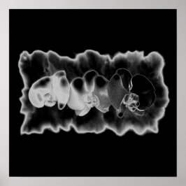 Póster Orquídea blanca negra pintando flor trippy