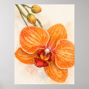 Póster Orquídea Botánica de la Polilla de Flor Única