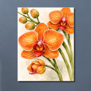 Póster Orquídea Botánica Phalaenopsis Naranja