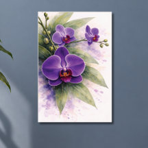 Orquídea Botánica Púrpura