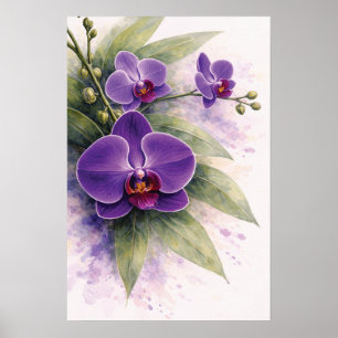 Póster Orquídea Botánica Púrpura