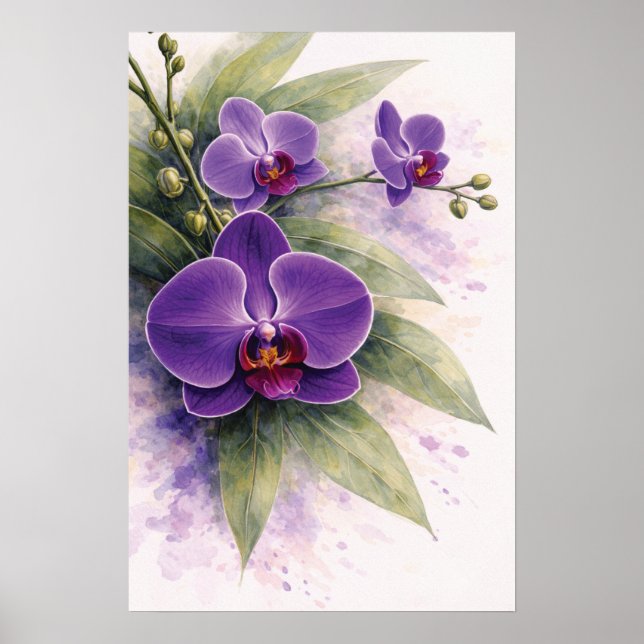 Póster Orquídea Botánica Púrpura (Frente)