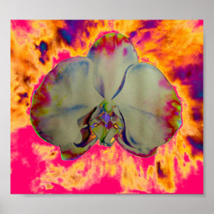 Póster Orquídea de fuego, pintura tropical abstracta de f