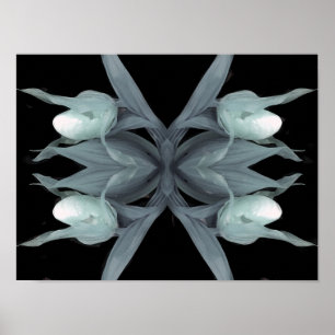 Póster Orquídea de zapatillas - Imprimir