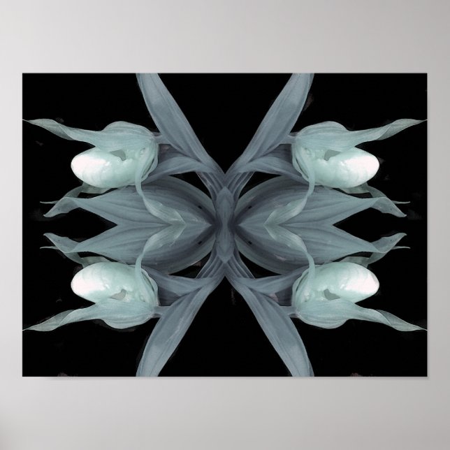 Póster Orquídea de zapatillas - Imprimir (Frente)