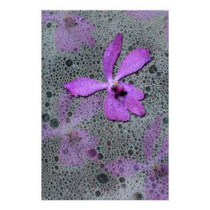 Póster Orquídea del mar