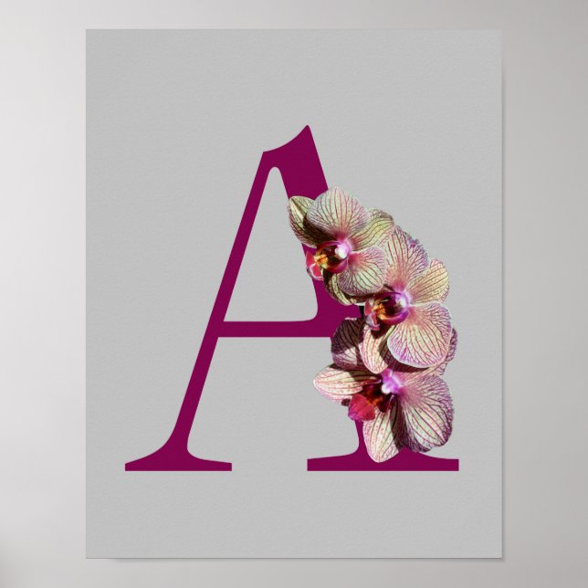 Póster Orquídea Elegante Monograma Inicial A  (Frente)
