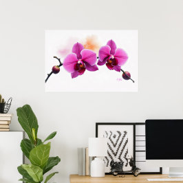 Póster Orquídea Flor de Amanecer