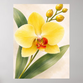 Póster Orquídea Phalaenopsis Amarilla en Flor Botánica