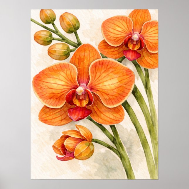 Póster Orquídea Phalaenopsis Naranja Aquarela Botánica (Frente)
