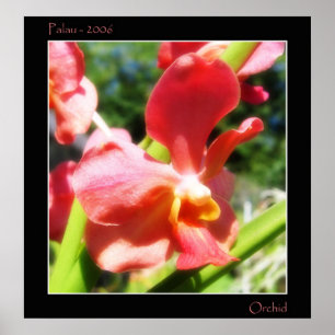 Póster Orquídea roja