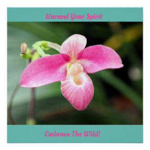 Póster Orquídea Rosa