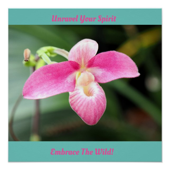 Póster Orquídea Rosa (Anverso)