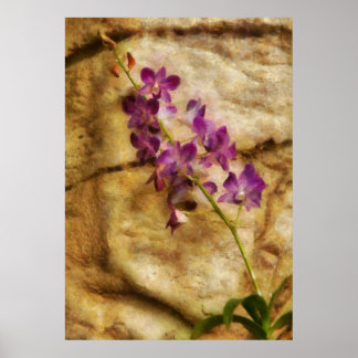 Póster Orquídea - Simplemente espléndido