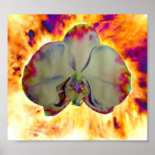 Póster Orquídea surrealista tropical floral divertida abs