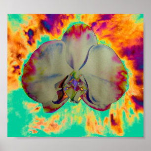 Póster Orquídea surrealista tropical floral divertida abs