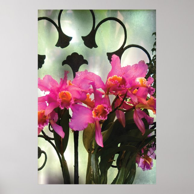 Póster Orquídea - Todo está en la presentación (Frente)