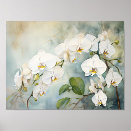 Póster Orquídeas