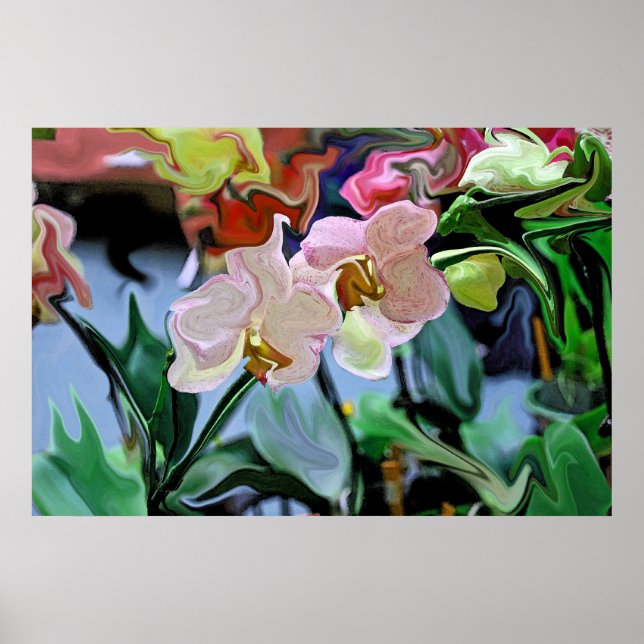 Póster Orquídeas (Frente)
