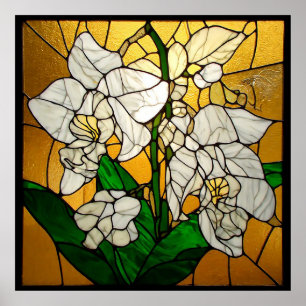 Póster Orquídeas Blancas Elegantes de Vidrio Pintado